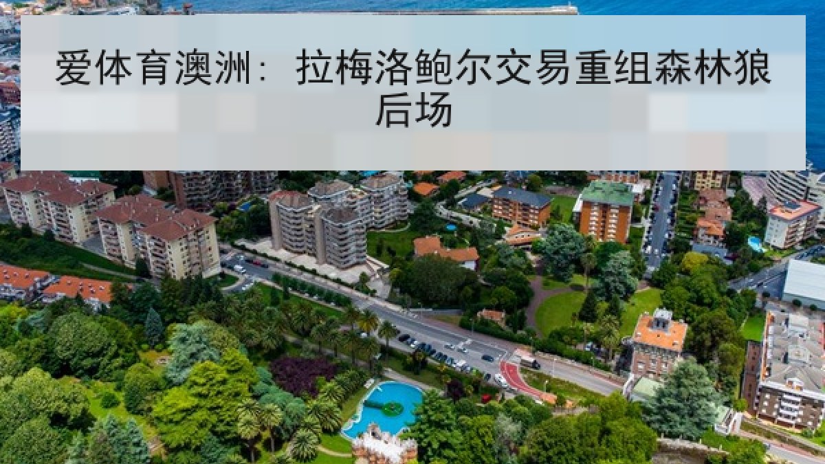 爱体育澳洲: 拉梅洛鲍尔交易重组森林狼后场