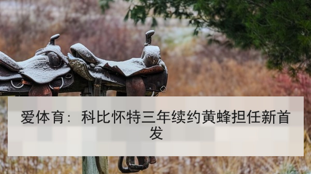 爱体育: 科比怀特三年续约黄蜂担任新首发 爱体育: 科比怀特三年续约黄蜂担任新首发