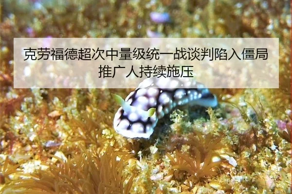 克劳福德超次中量级统一战谈判陷入僵局推广人持续施压
